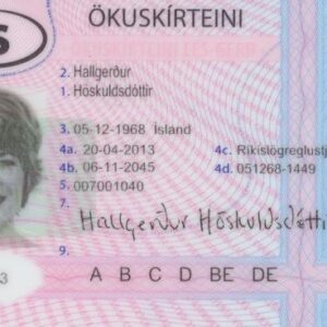 BUY ICELANDIC DRIVER’S LICENSE ONLINE