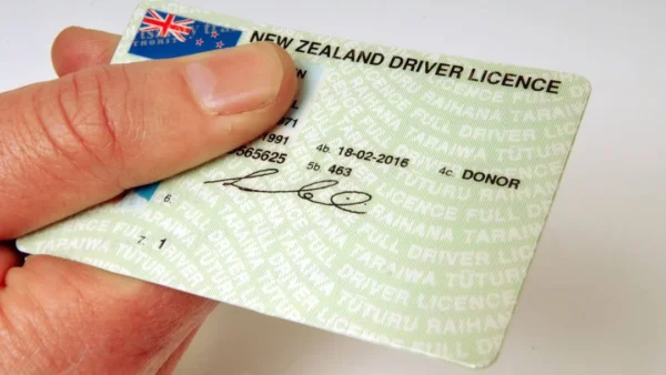 buy-new-zealand-drivers-license-online